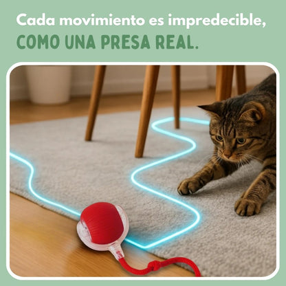 Pelota Mágica para Gatos