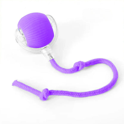 Pelota Mágica para Gatos