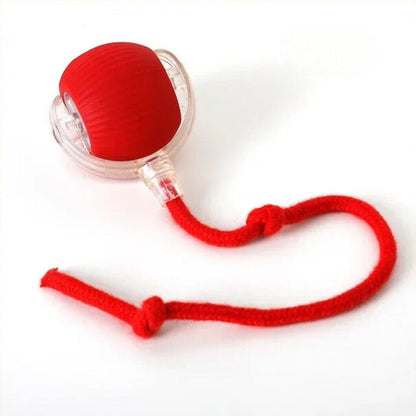 Pelota Mágica para Gatos