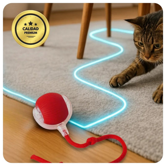Pelota Mágica para Gatos