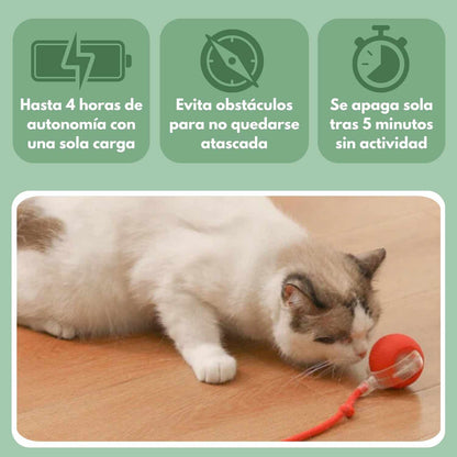 Pelota Mágica para Gatos
