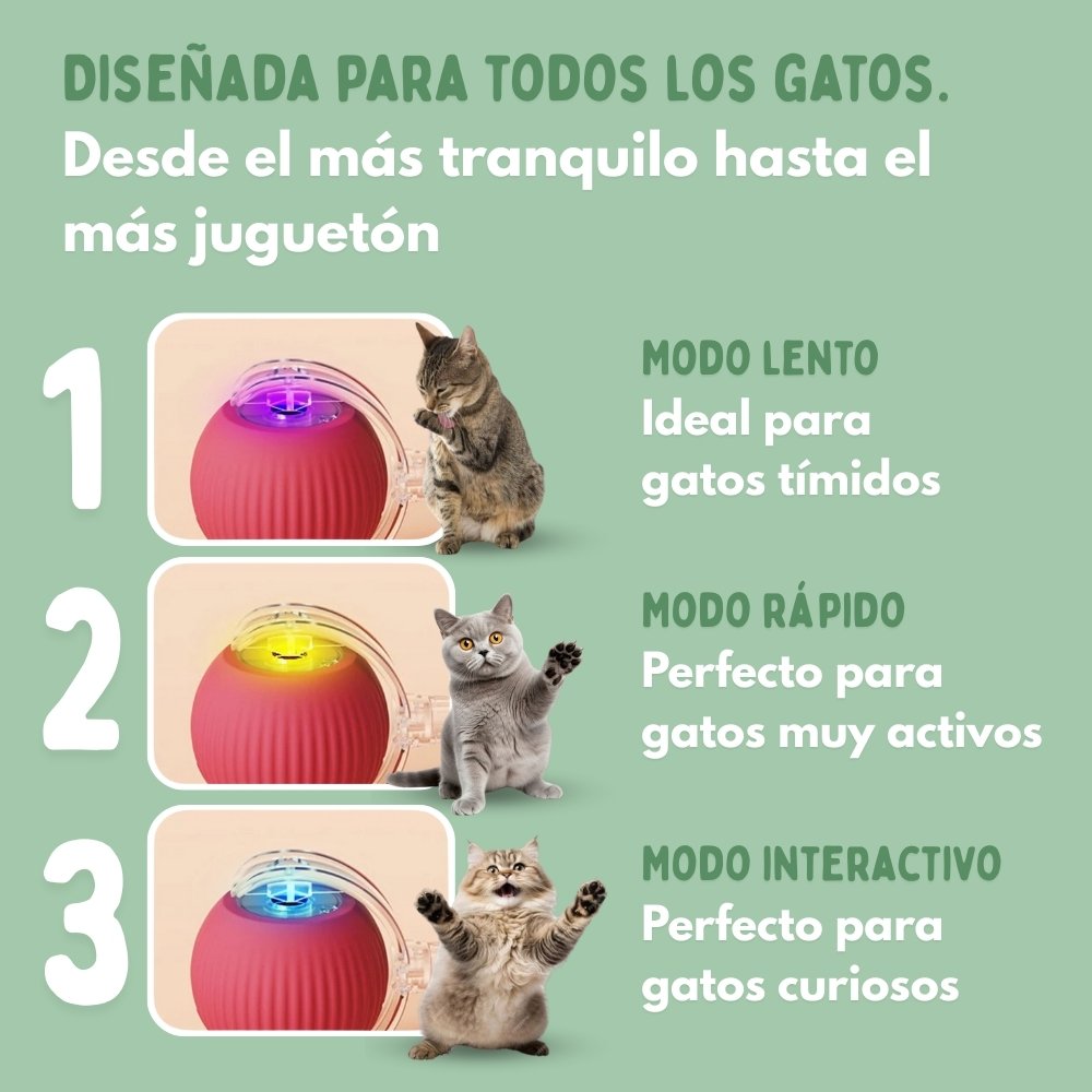 Pelota Mágica para Gatos