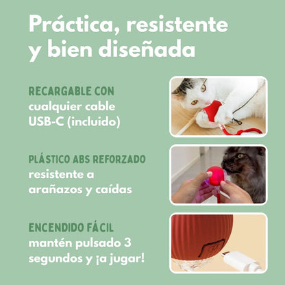 Pelota Mágica para Gatos
