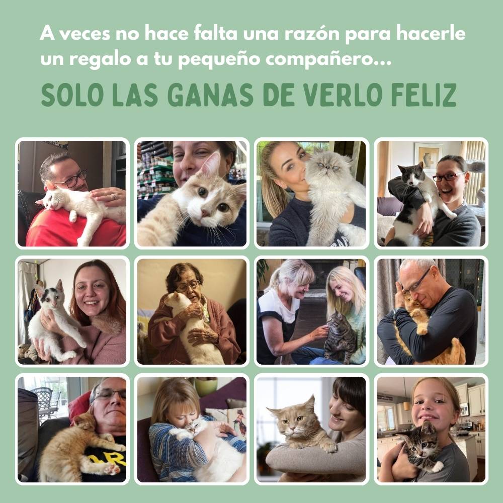 Pelota Mágica para Gatos