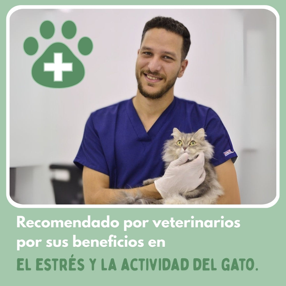 Pelota Mágica para Gatos