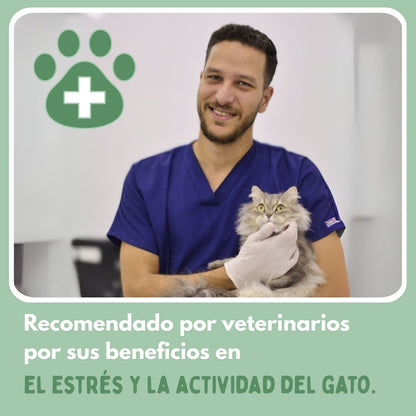 Pelota Mágica para Gatos