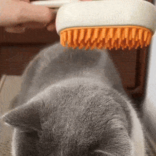 Pelota Mágica para Gatos