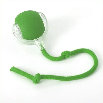 Pelota Mágica para Gatos