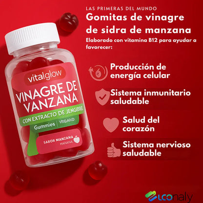 Gomitas Energizantes VitaGlow
